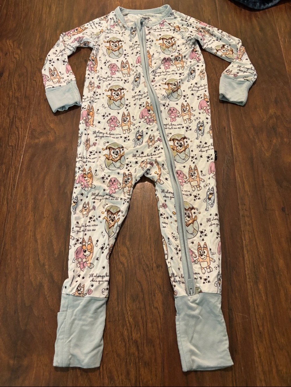 Bluey and Bingo Print Zip-Front One-Piece Pajamas